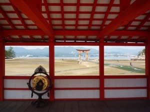 8825_1116038755094_533050_n