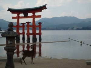 Torii de Miyajima