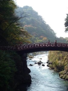 8825_1116039355109_6567441_n