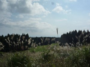 Paisaje rural en los alrededores de Hakodate